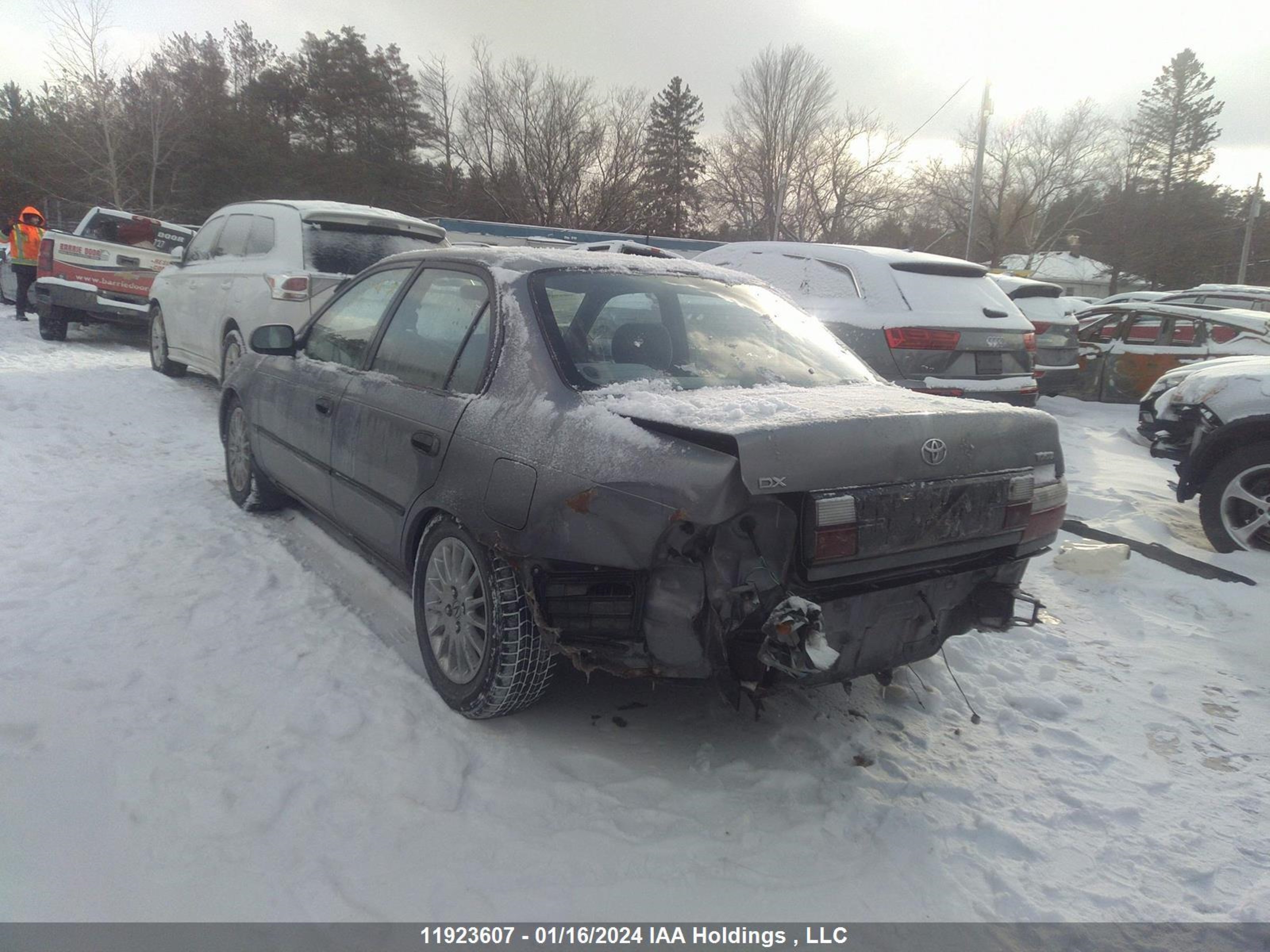 Photo 2 VIN: 2T1BB02E1VC206307 - TOYOTA COROLLA 