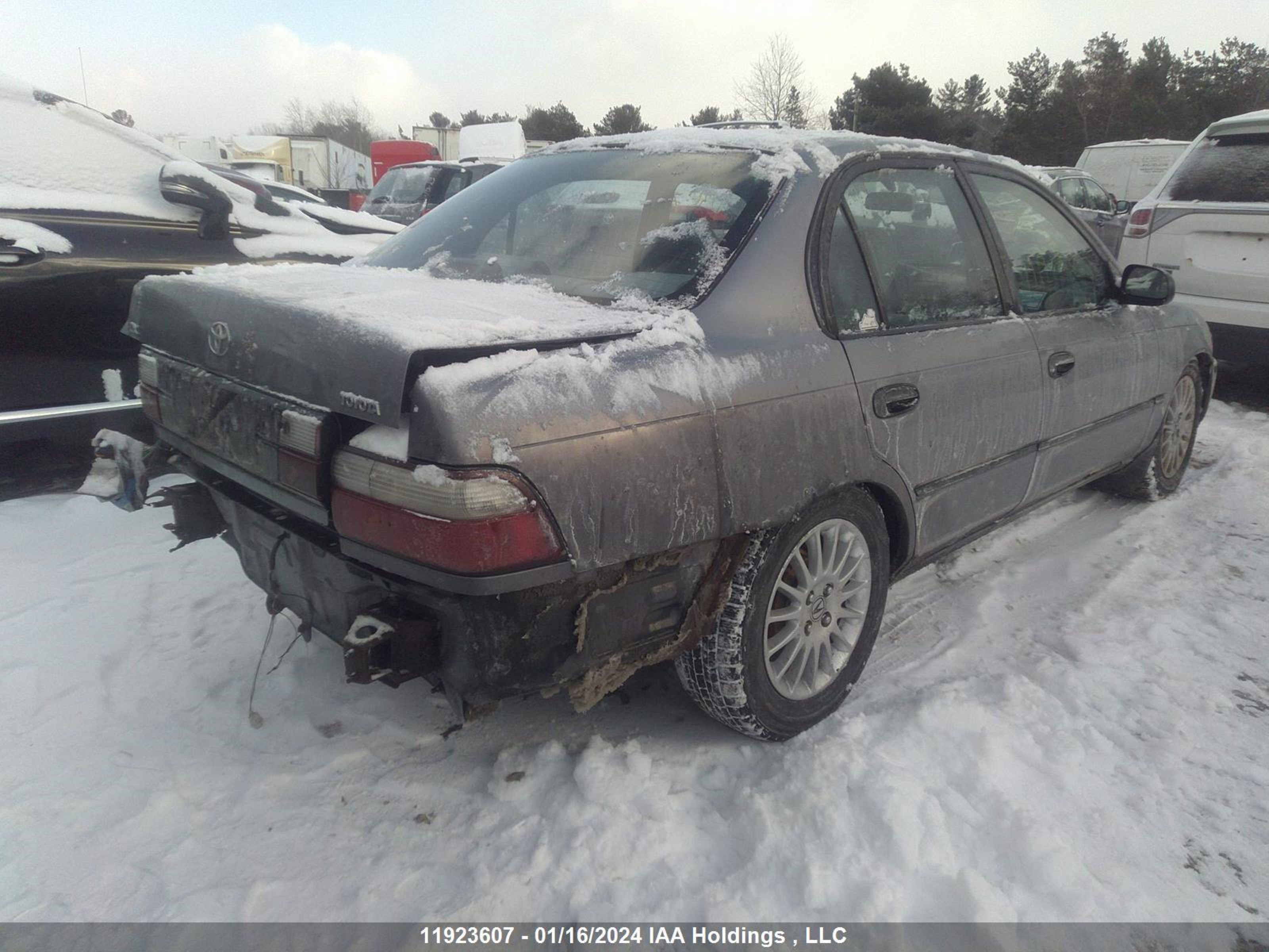 Photo 3 VIN: 2T1BB02E1VC206307 - TOYOTA COROLLA 