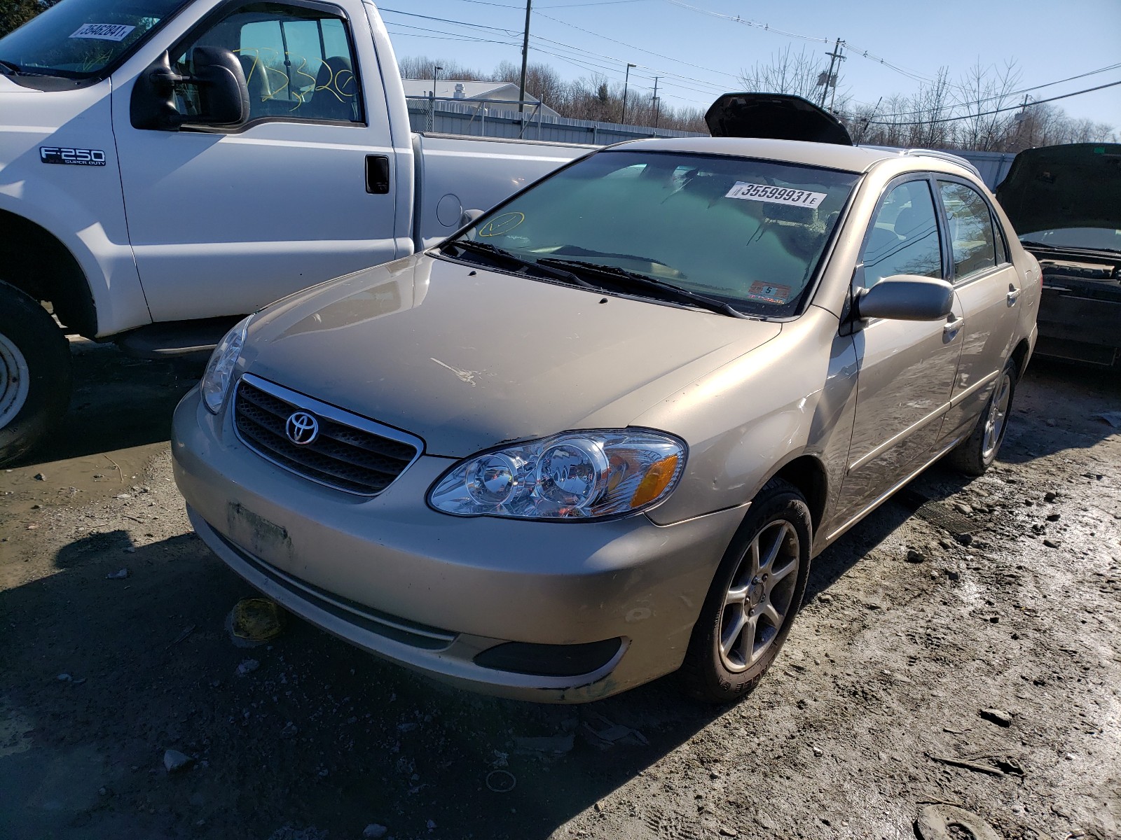 Photo 1 VIN: 2T1BR30E25C359228 - TOYOTA COROLLA CE 