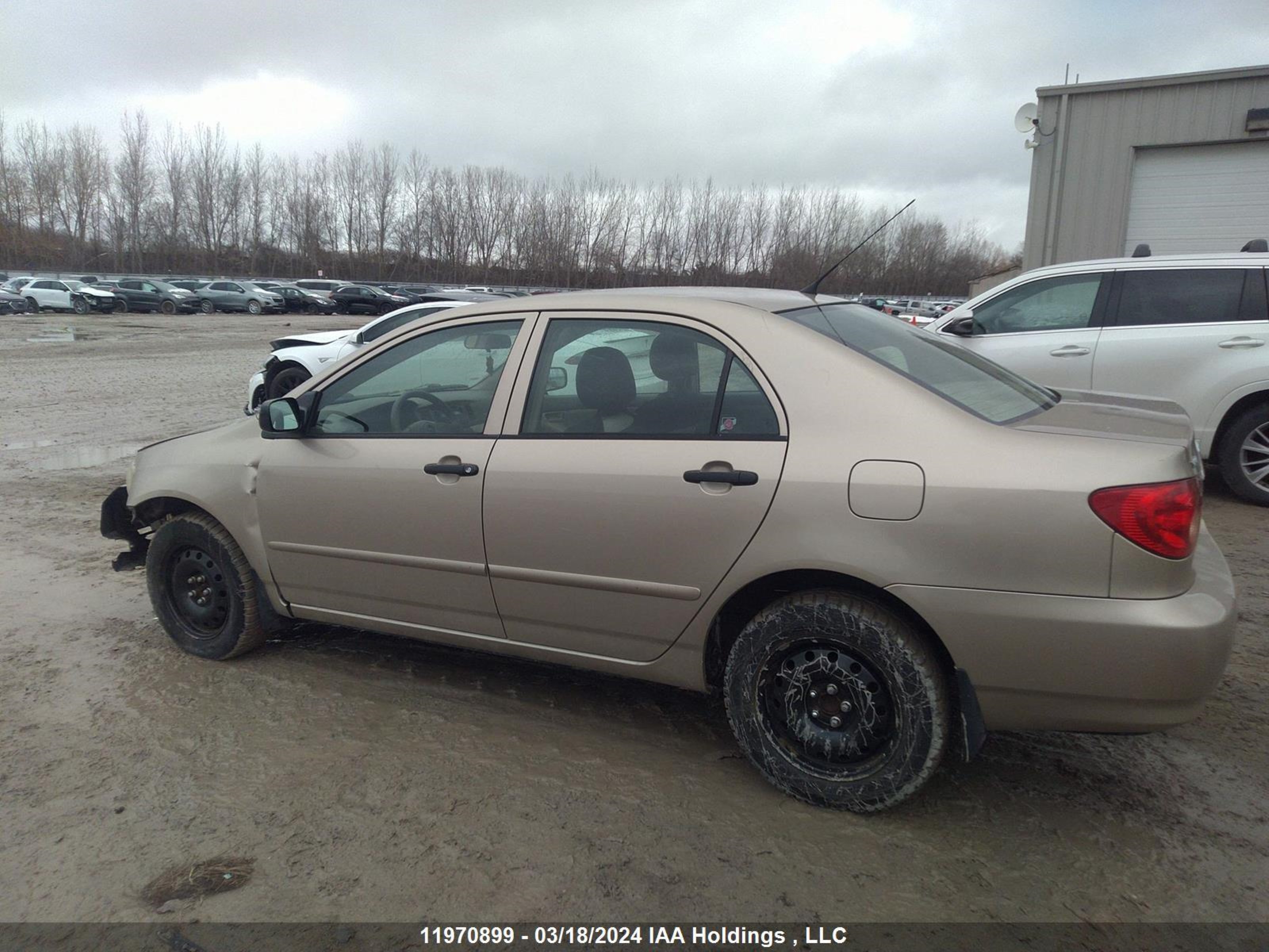 Photo 13 VIN: 2T1BR32E36C672044 - TOYOTA COROLLA 