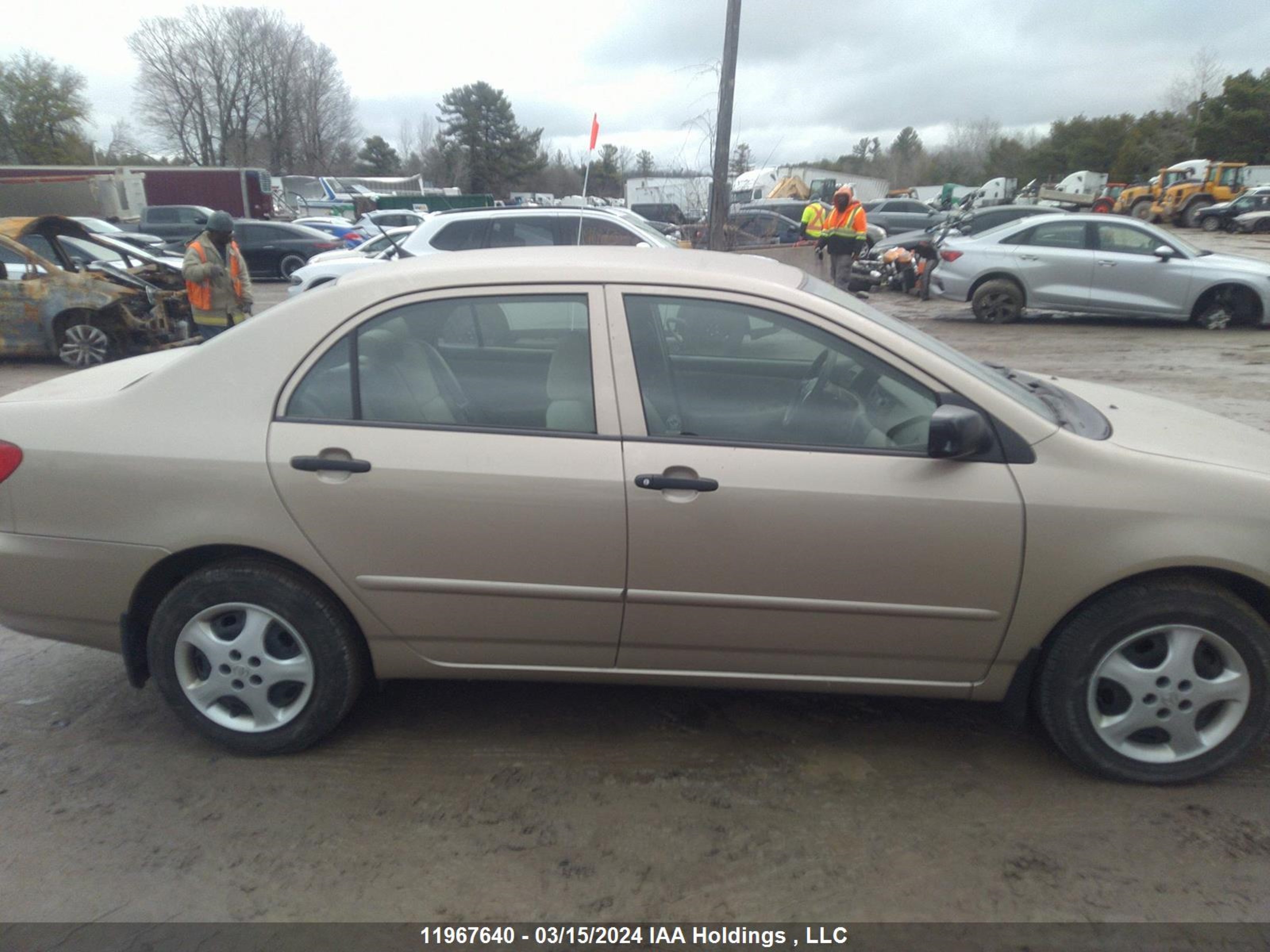 Photo 12 VIN: 2T1BR32E76C703327 - TOYOTA COROLLA 