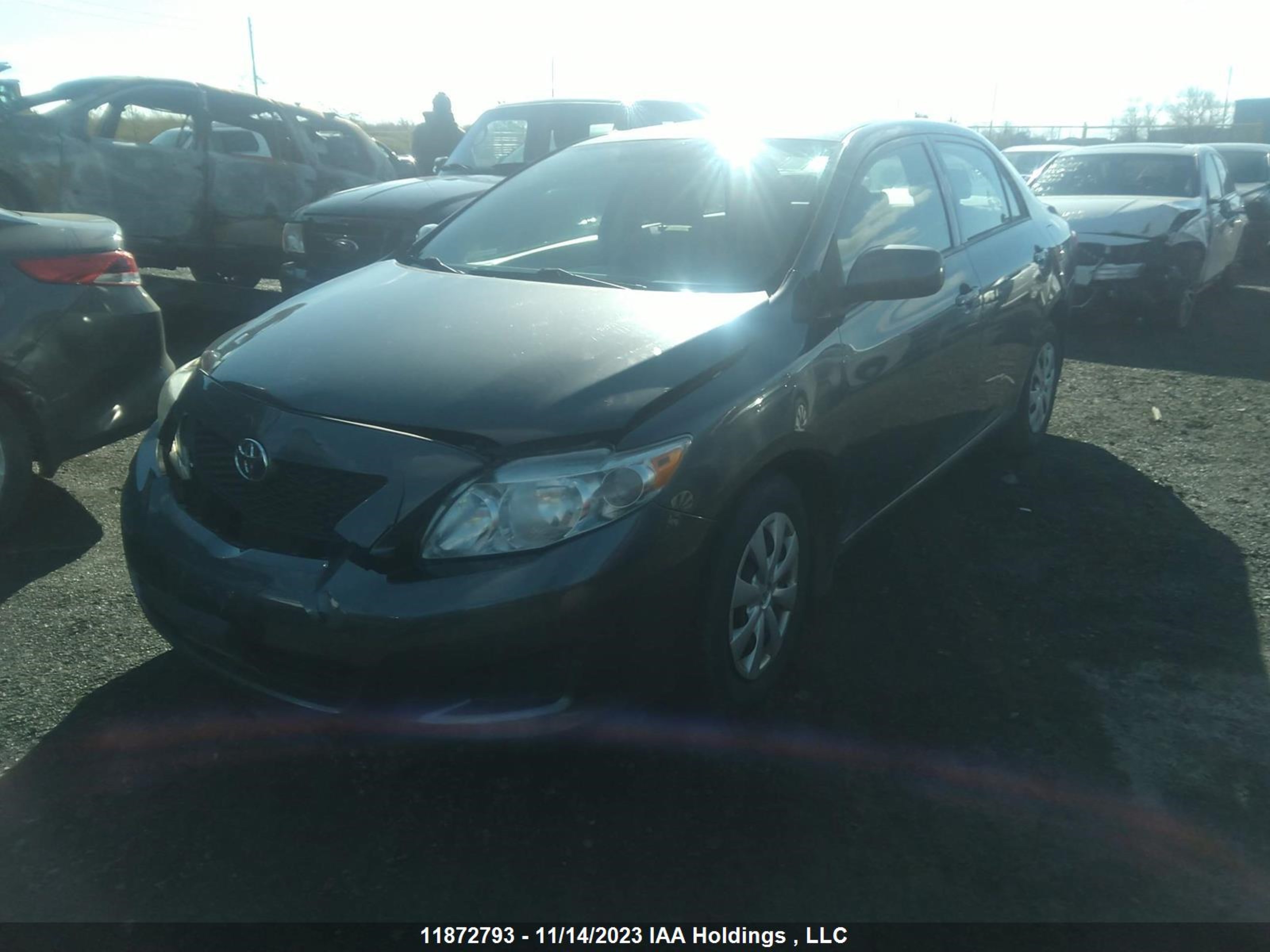 Photo 1 VIN: 2T1BU40E09C181619 - TOYOTA COROLLA 