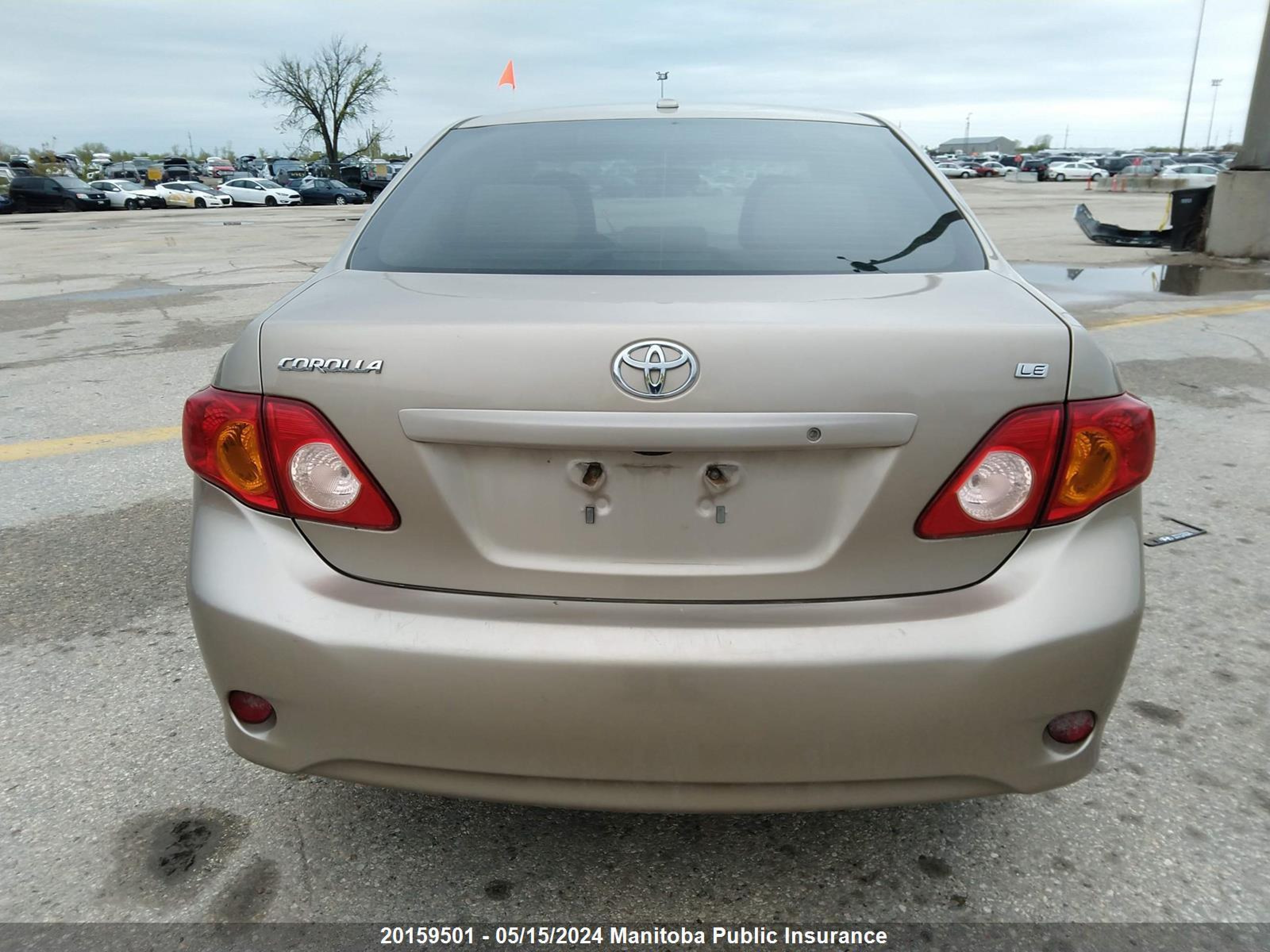 Photo 15 VIN: 2T1BU40E19C076085 - TOYOTA COROLLA 