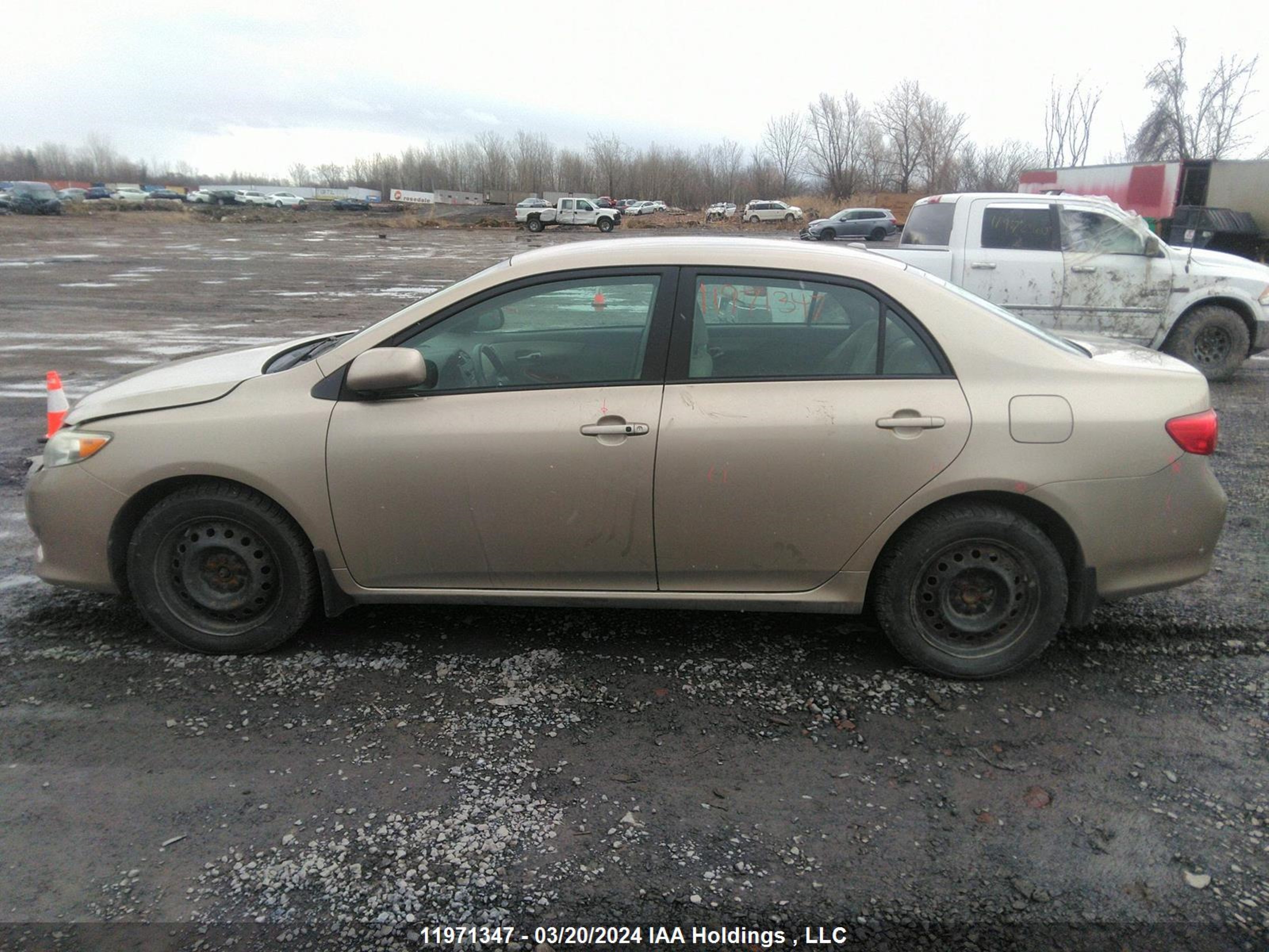 Photo 14 VIN: 2T1BU40E19C086468 - TOYOTA COROLLA 