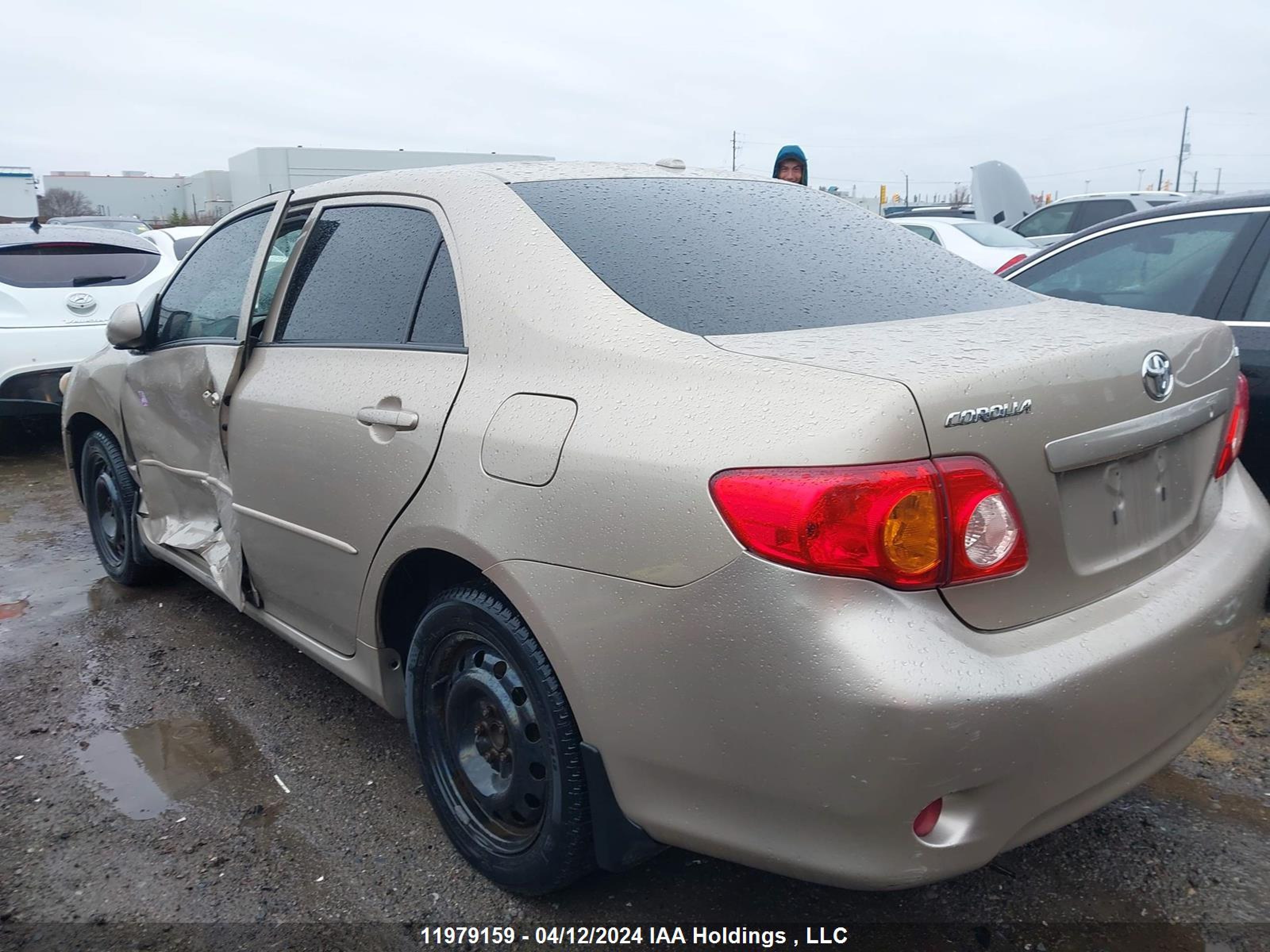 Photo 2 VIN: 2T1BU40E49C056641 - TOYOTA COROLLA 