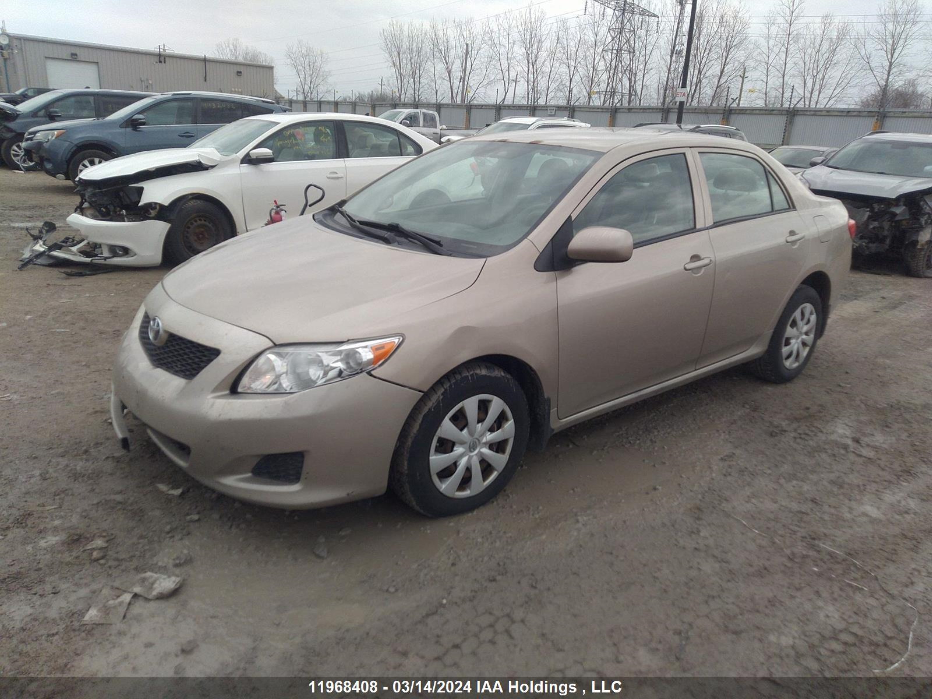 Photo 1 VIN: 2T1BU40E49C104266 - TOYOTA COROLLA 