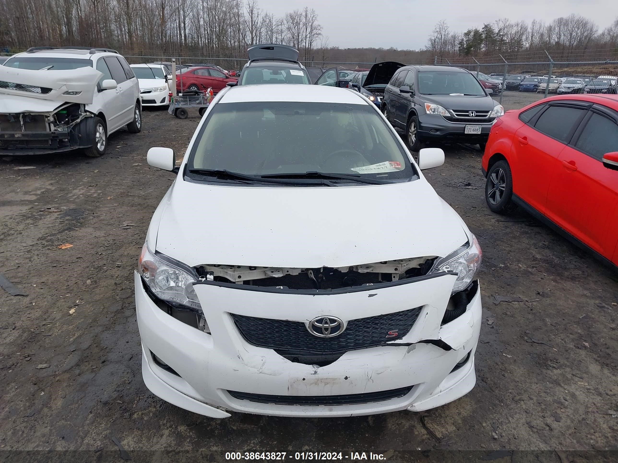 Photo 11 VIN: 2T1BU40E49C158716 - TOYOTA COROLLA 