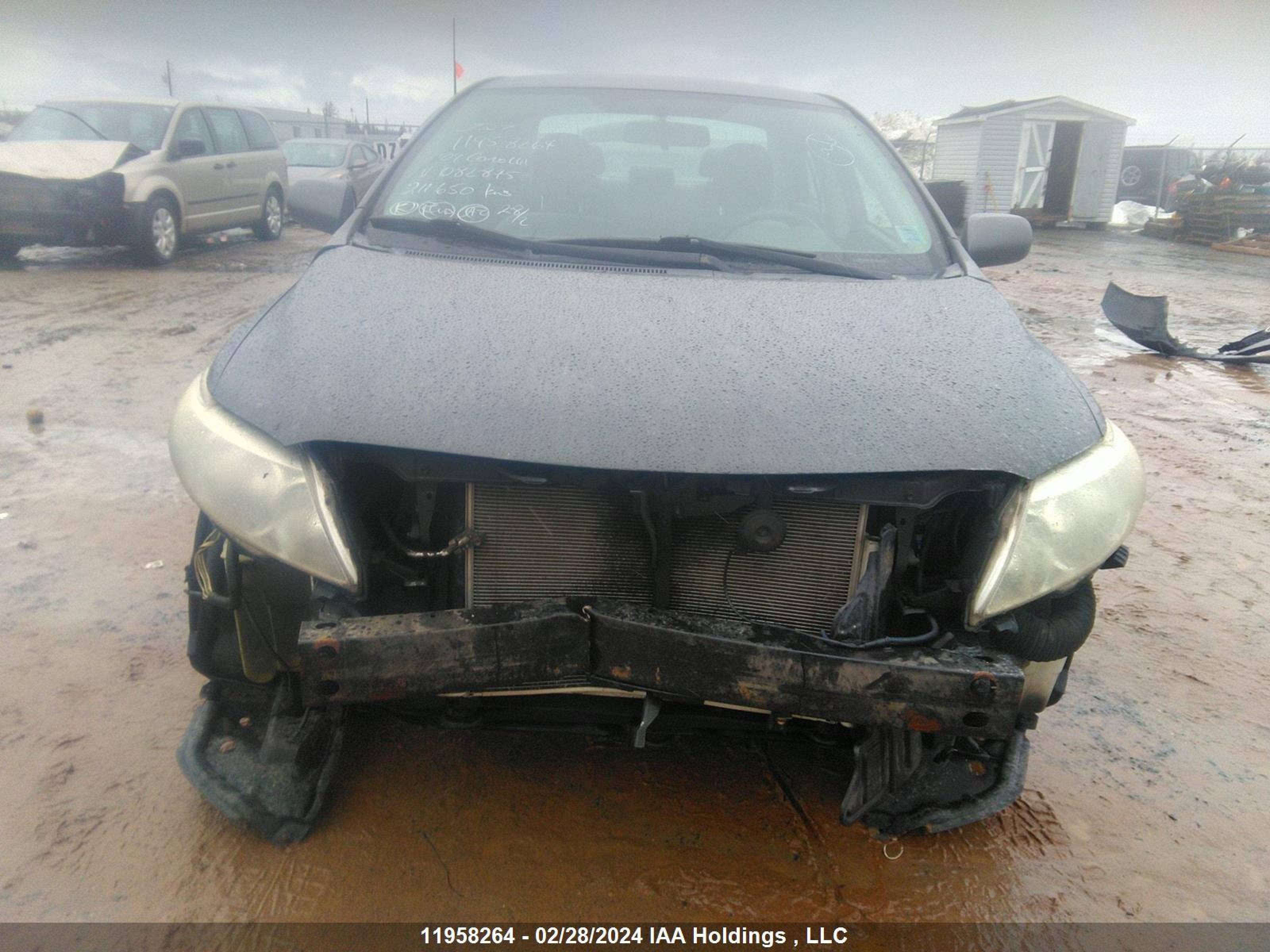 Photo 12 VIN: 2T1BU40E59C082875 - TOYOTA COROLLA 