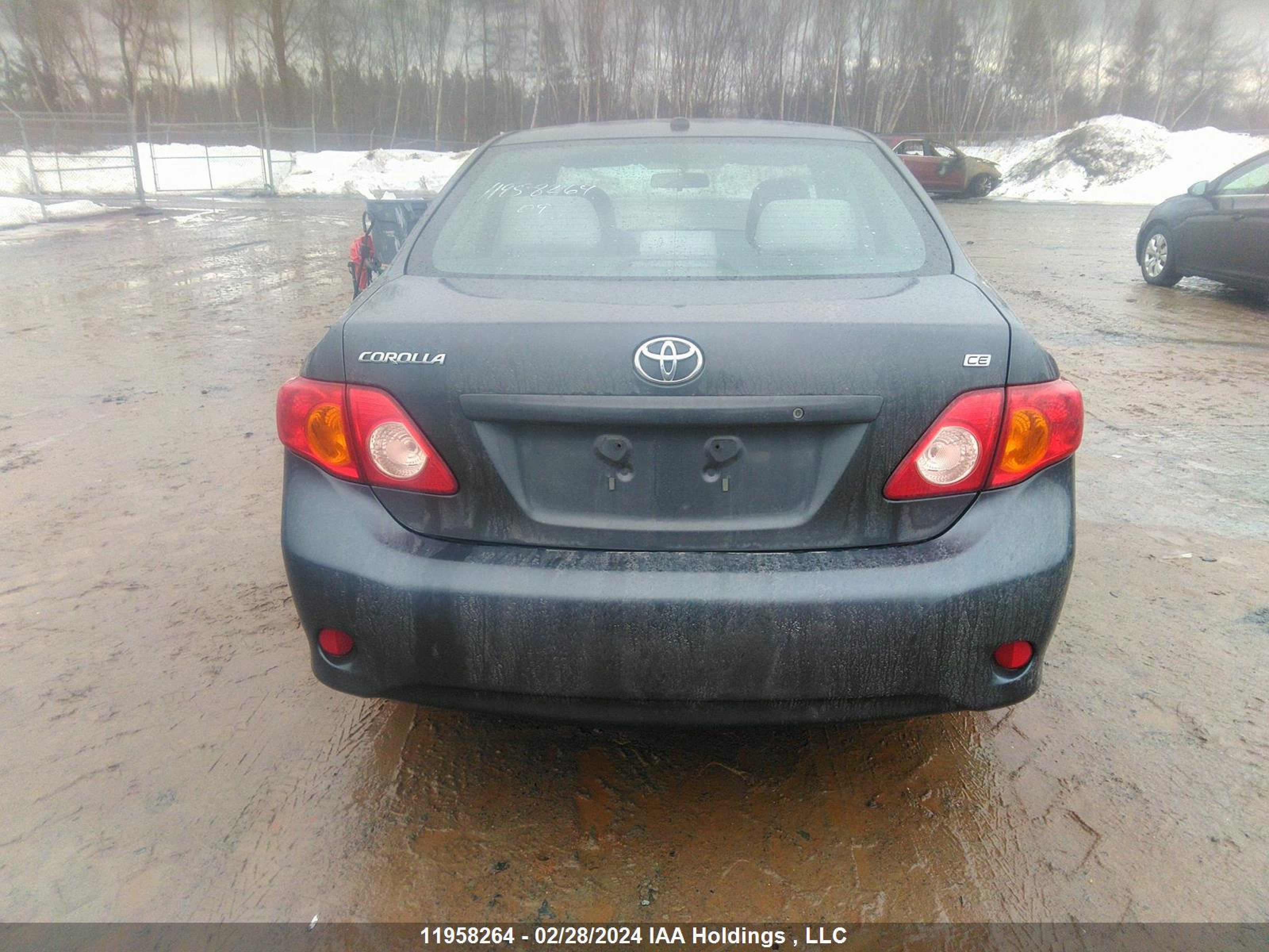 Photo 16 VIN: 2T1BU40E59C082875 - TOYOTA COROLLA 