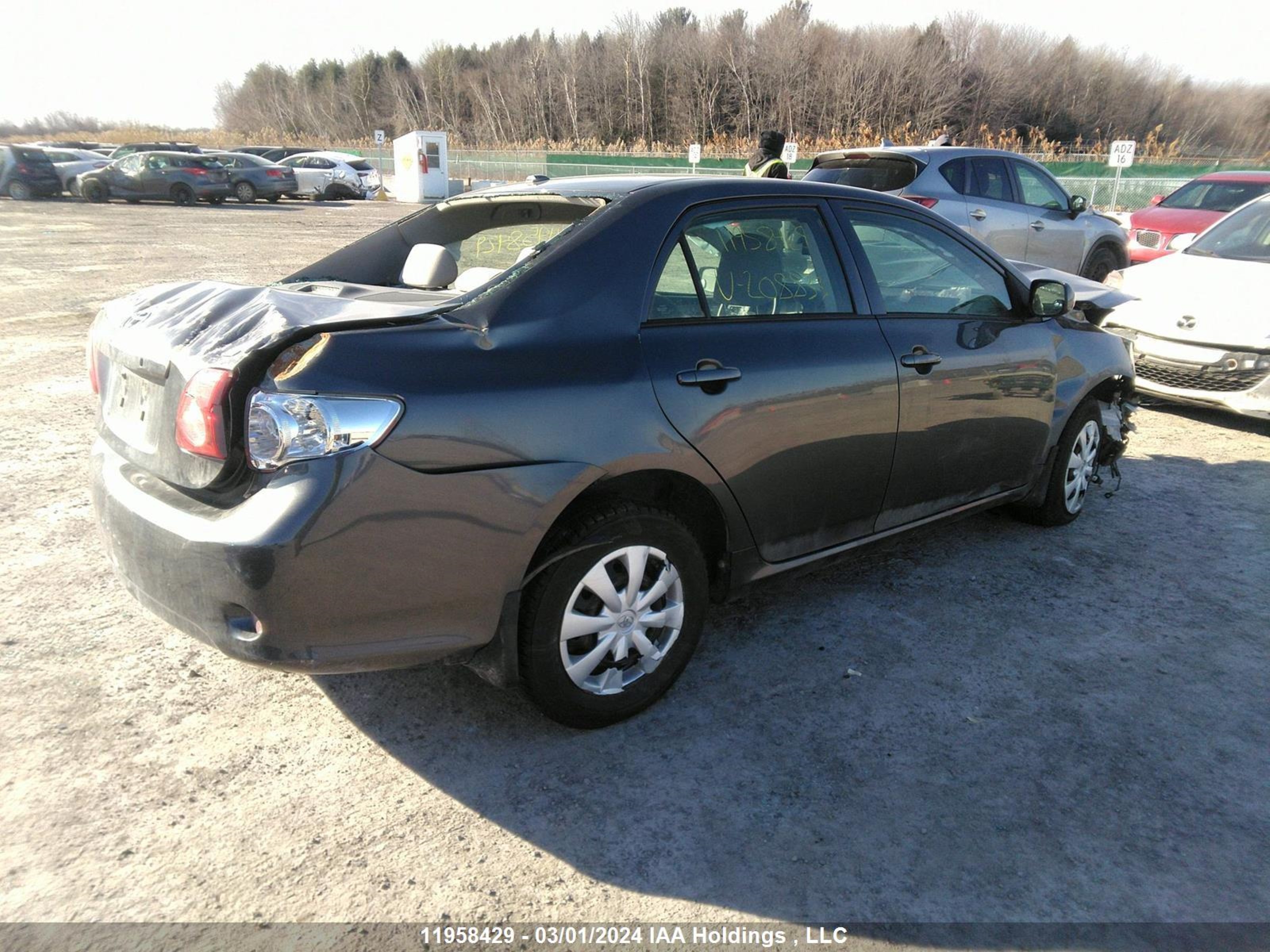 Photo 3 VIN: 2T1BU4EE0AC208833 - TOYOTA COROLLA 