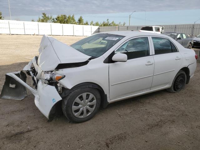 Photo 0 VIN: 2T1BU4EE0AC242495 - TOYOTA COROLLA BA 