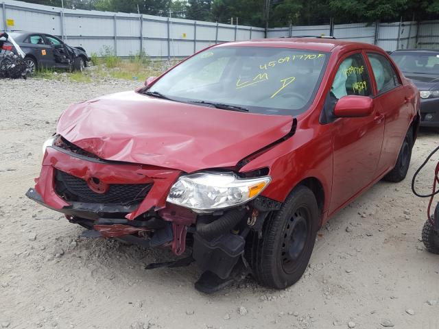 Photo 1 VIN: 2T1BU4EE0AC314313 - TOYOTA COROLLA BA 