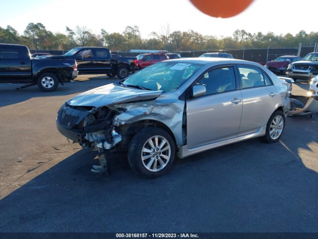 Photo 1 VIN: 2T1BU4EE0AC451834 - TOYOTA COROLLA 