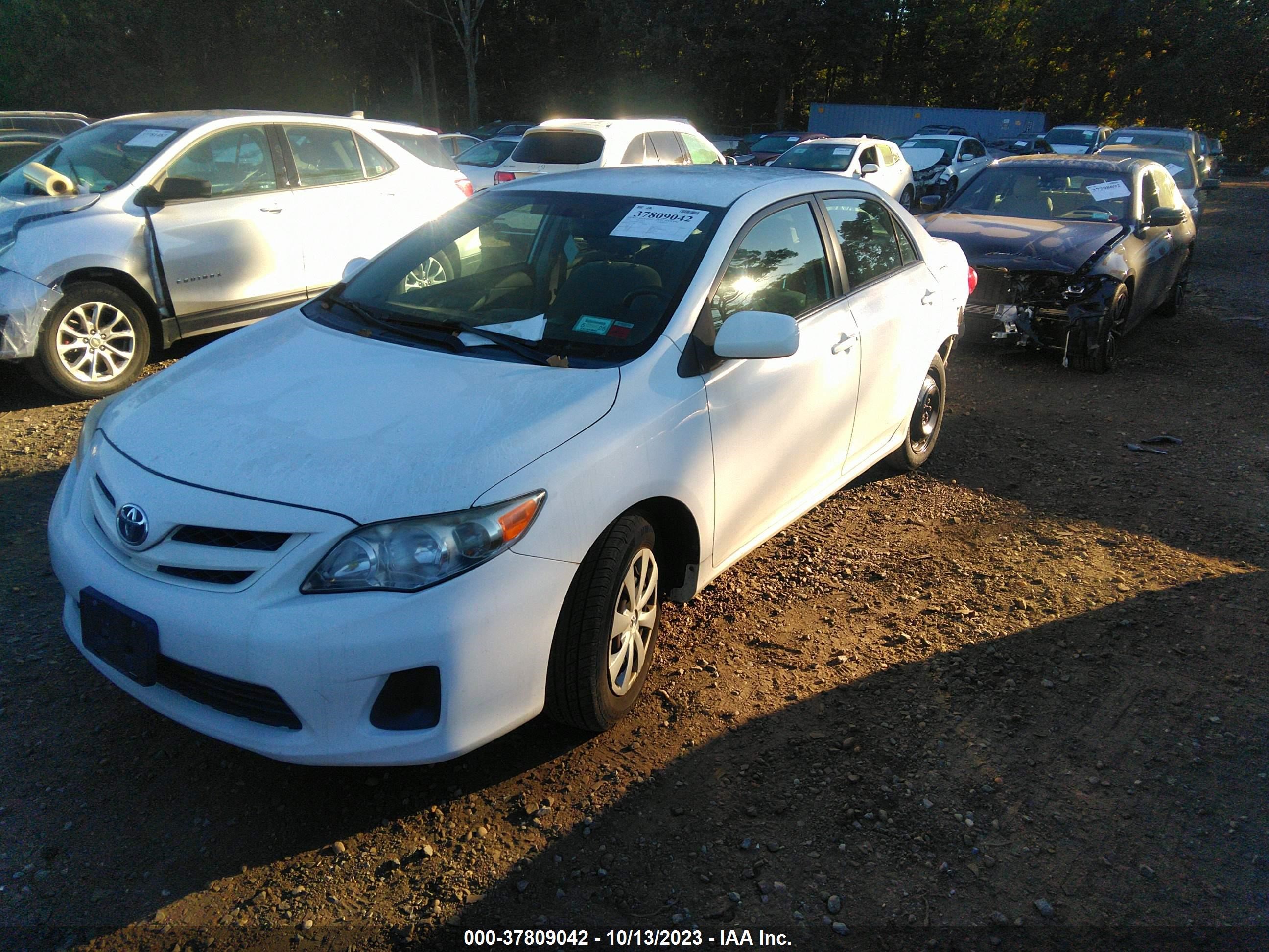 Photo 1 VIN: 2T1BU4EE0BC728032 - TOYOTA COROLLA 