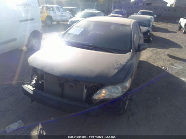 Photo 1 VIN: 2T1BU4EE0DC035464 - TOYOTA COROLLA 