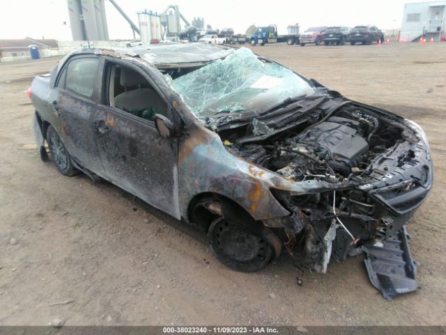 Photo 5 VIN: 2T1BU4EE0DC955367 - TOYOTA COROLLA 