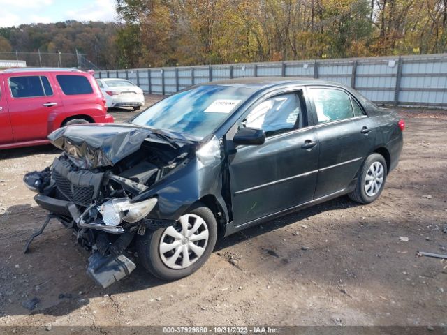 Photo 1 VIN: 2T1BU4EE1AC226693 - TOYOTA COROLLA 