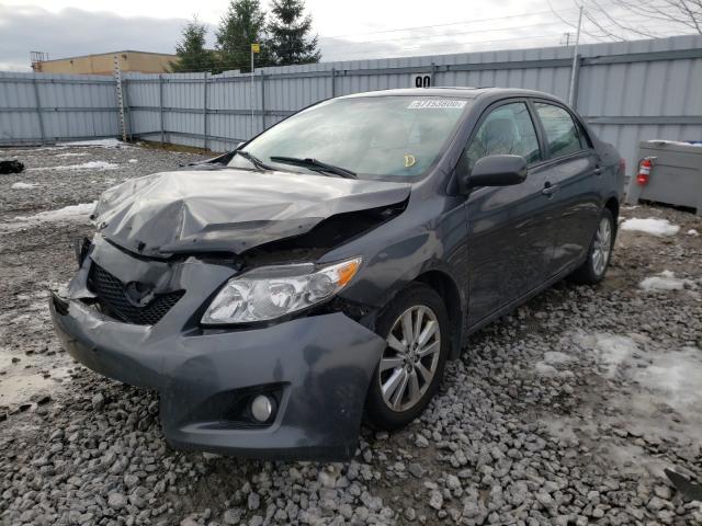 Photo 1 VIN: 2T1BU4EE1AC312554 - TOYOTA COROLLA BA 