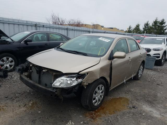 Photo 1 VIN: 2T1BU4EE1AC338149 - TOYOTA COROLLA BA 