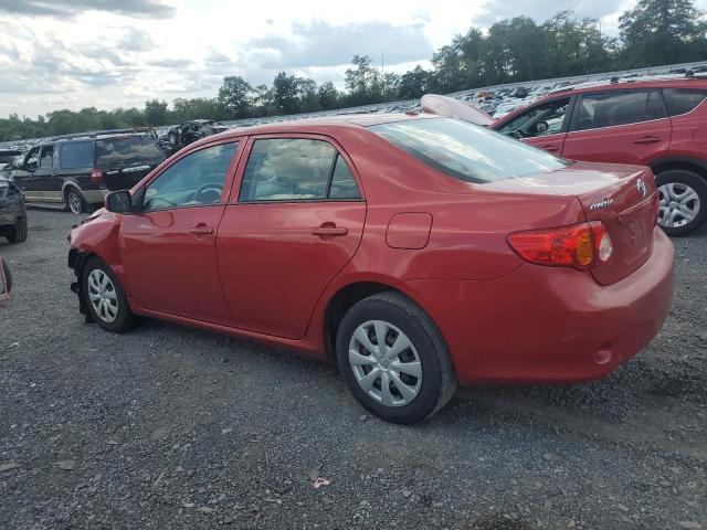 Photo 1 VIN: 2T1BU4EE1AC380322 - TOYOTA COROLLA BA 