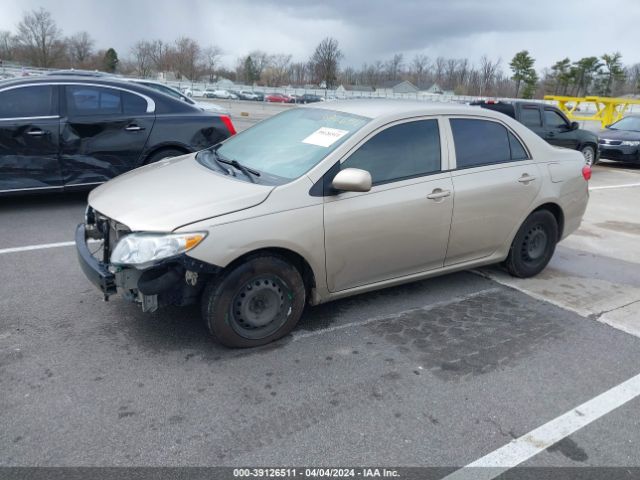 Photo 1 VIN: 2T1BU4EE1AC402223 - TOYOTA COROLLA 