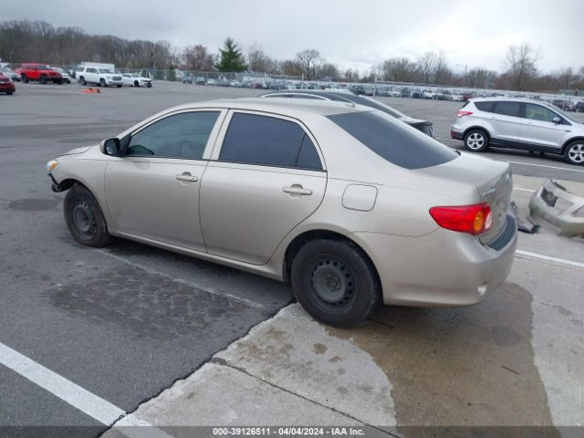 Photo 2 VIN: 2T1BU4EE1AC402223 - TOYOTA COROLLA 