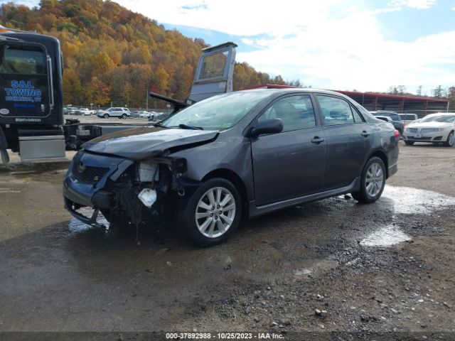 Photo 1 VIN: 2T1BU4EE1AC430541 - TOYOTA COROLLA 