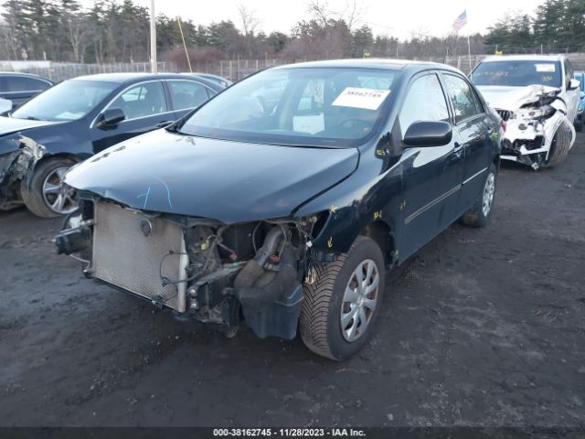 Photo 1 VIN: 2T1BU4EE1BC687541 - TOYOTA COROLLA 