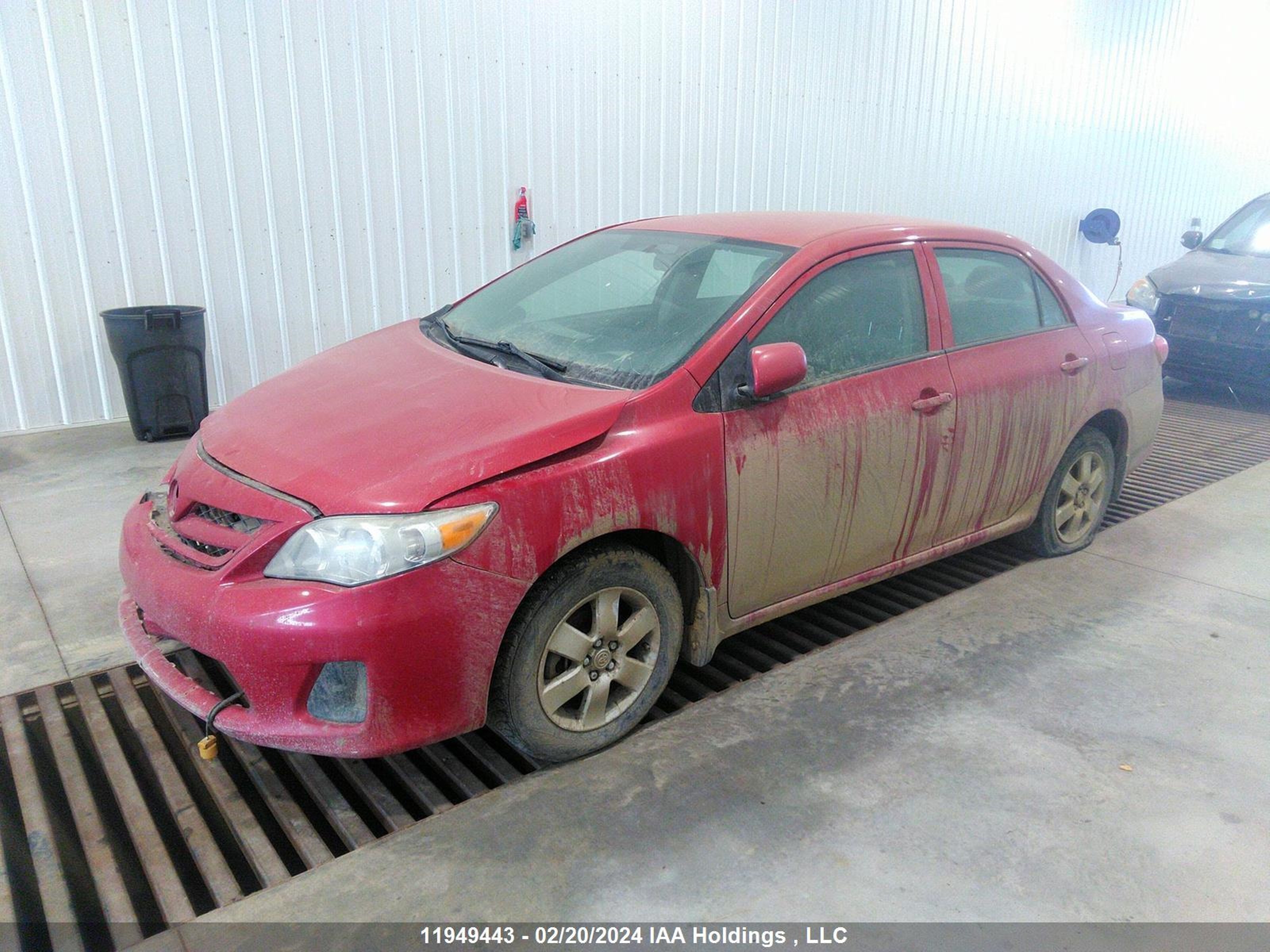 Photo 1 VIN: 2T1BU4EE1DC951781 - TOYOTA COROLLA 