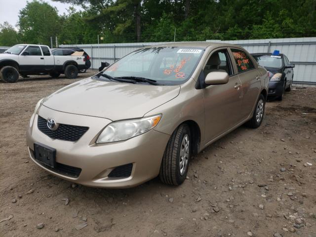 Photo 1 VIN: 2T1BU4EE2AC255605 - TOYOTA COROLLA BA 