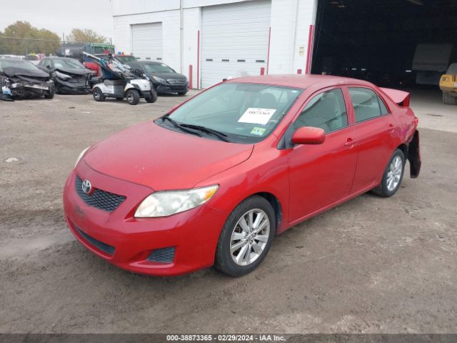 Photo 1 VIN: 2T1BU4EE2AC278429 - TOYOTA COROLLA 