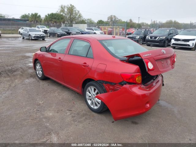 Photo 2 VIN: 2T1BU4EE2AC278429 - TOYOTA COROLLA 