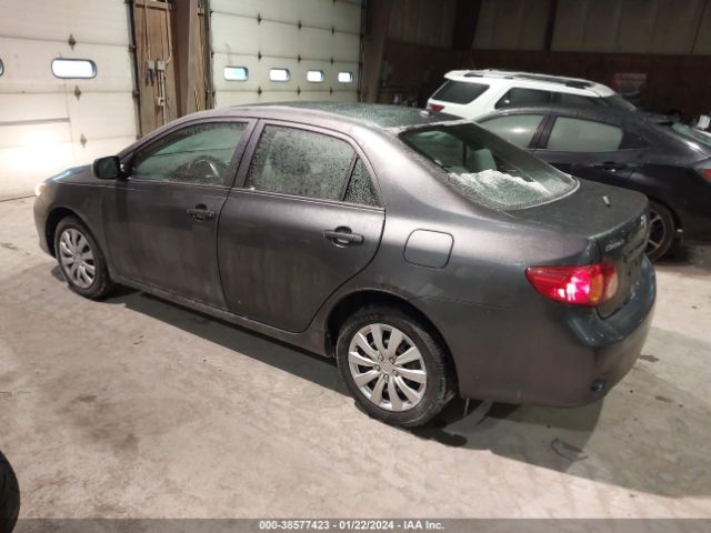 Photo 2 VIN: 2T1BU4EE2AC307461 - TOYOTA COROLLA 