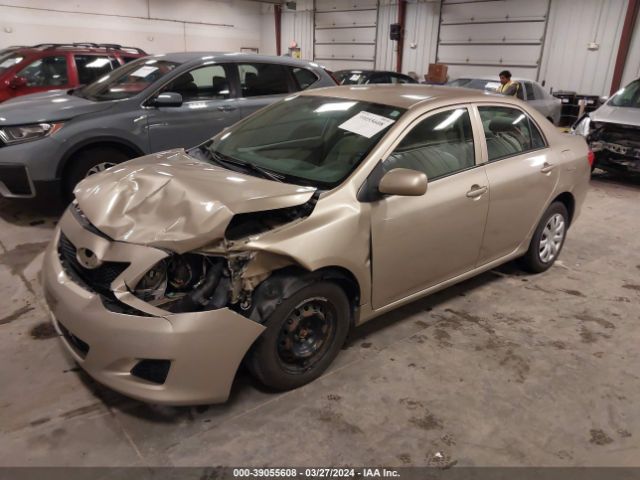 Photo 1 VIN: 2T1BU4EE2AC318217 - TOYOTA COROLLA 