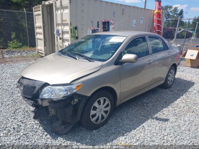 Photo 1 VIN: 2T1BU4EE2AC332036 - TOYOTA COROLLA 