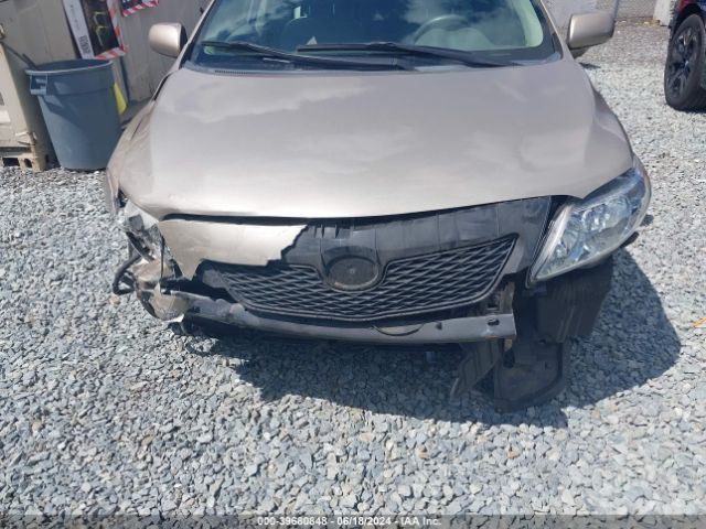 Photo 5 VIN: 2T1BU4EE2AC332036 - TOYOTA COROLLA 