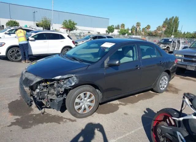 Photo 1 VIN: 2T1BU4EE2AC409519 - TOYOTA COROLLA 