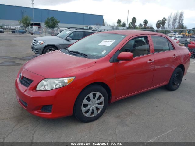 Photo 1 VIN: 2T1BU4EE2AC428149 - TOYOTA COROLLA 