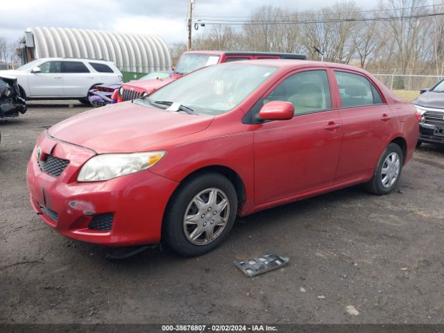 Photo 1 VIN: 2T1BU4EE3AC231314 - TOYOTA COROLLA 