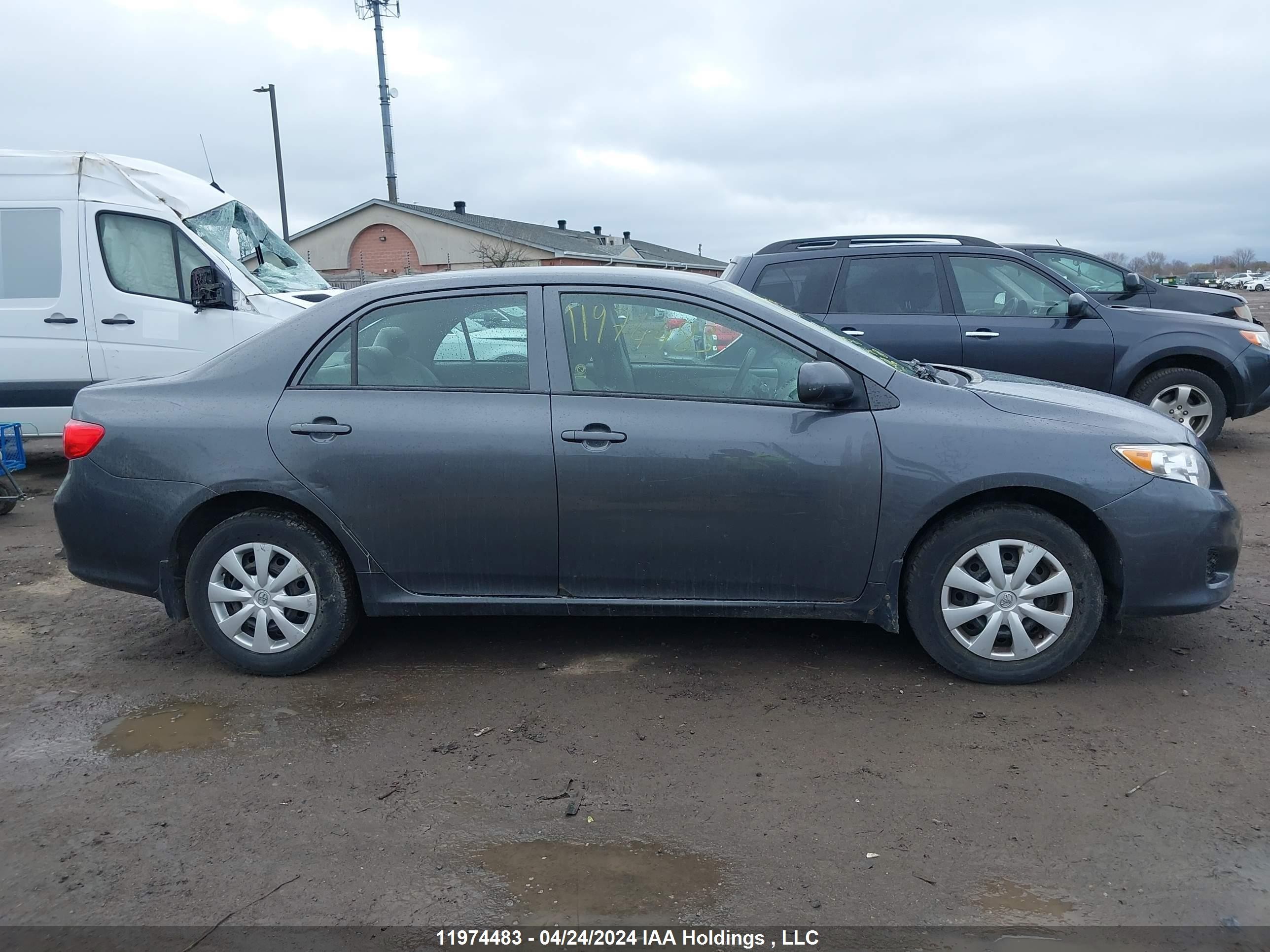 Photo 12 VIN: 2T1BU4EE3AC237520 - TOYOTA COROLLA 