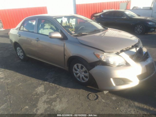 Photo 0 VIN: 2T1BU4EE3AC248162 - TOYOTA COROLLA 