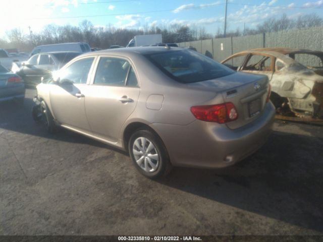 Photo 2 VIN: 2T1BU4EE3AC248162 - TOYOTA COROLLA 