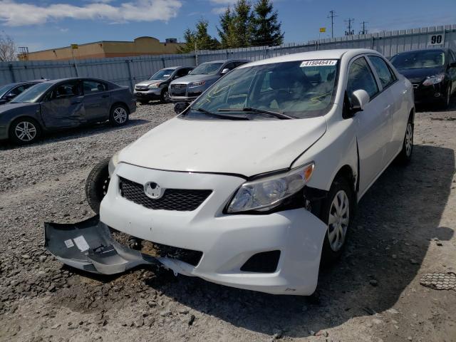 Photo 1 VIN: 2T1BU4EE3AC391774 - TOYOTA COROLLA BA 