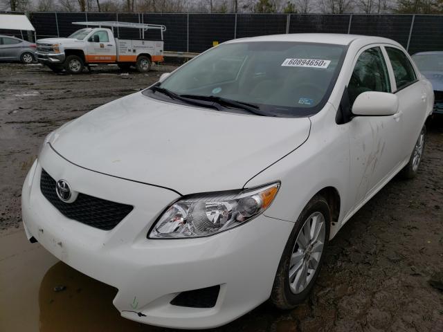 Photo 1 VIN: 2T1BU4EE3AC412736 - TOYOTA COROLLA BA 