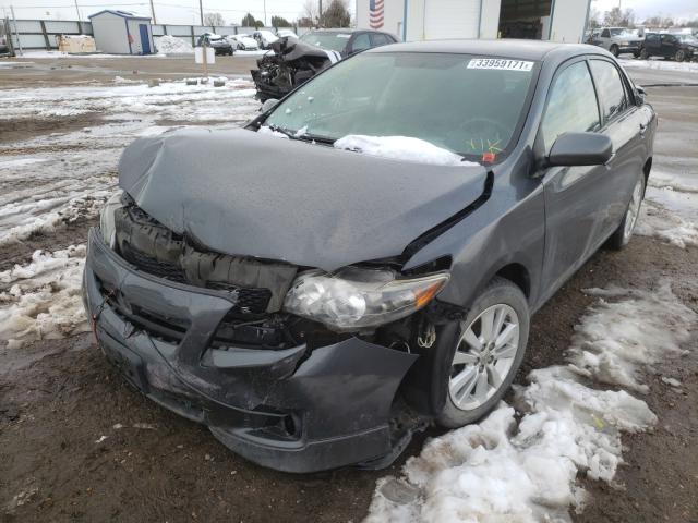 Photo 1 VIN: 2T1BU4EE3AC466716 - TOYOTA COROLLA BA 