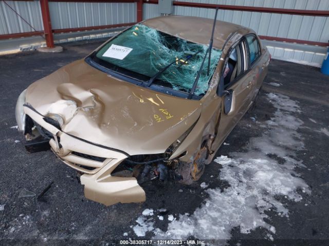 Photo 5 VIN: 2T1BU4EE3BC653505 - TOYOTA COROLLA 