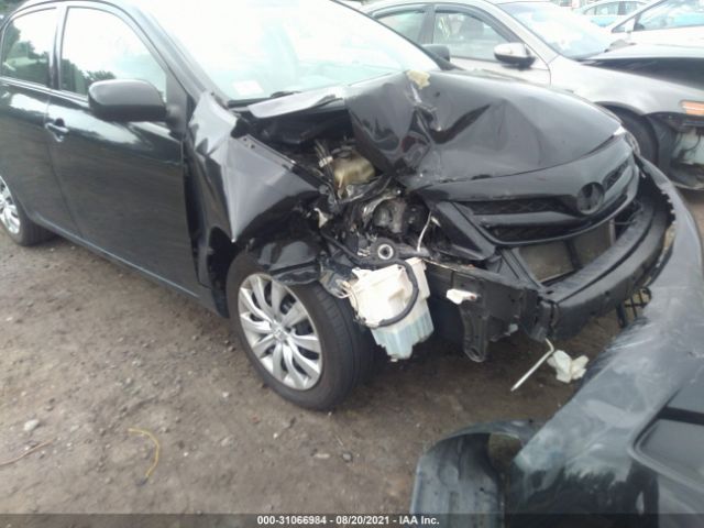 Photo 5 VIN: 2T1BU4EE3CC800262 - TOYOTA COROLLA 