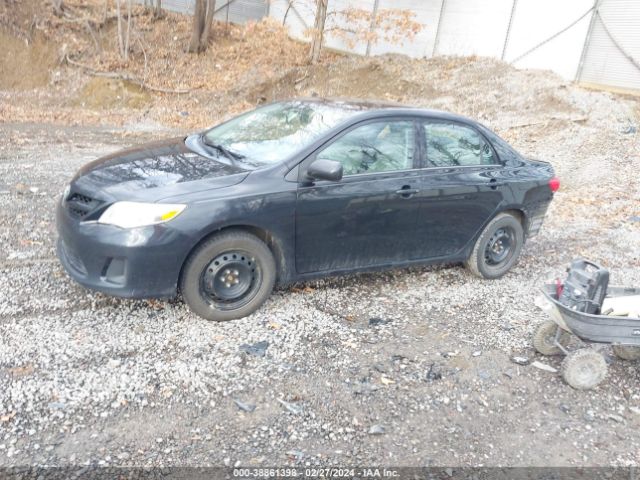 Photo 1 VIN: 2T1BU4EE3CC884244 - TOYOTA COROLLA 