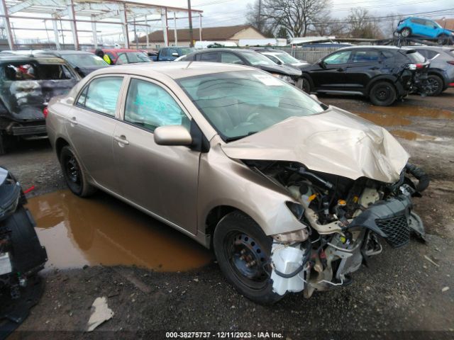 Photo 0 VIN: 2T1BU4EE4AC228437 - TOYOTA COROLLA 