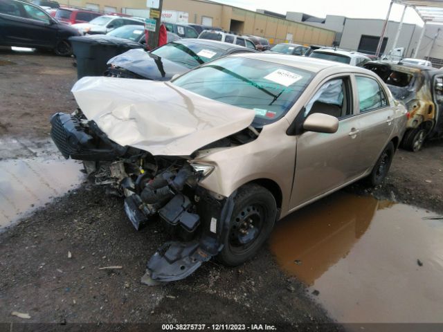 Photo 1 VIN: 2T1BU4EE4AC228437 - TOYOTA COROLLA 